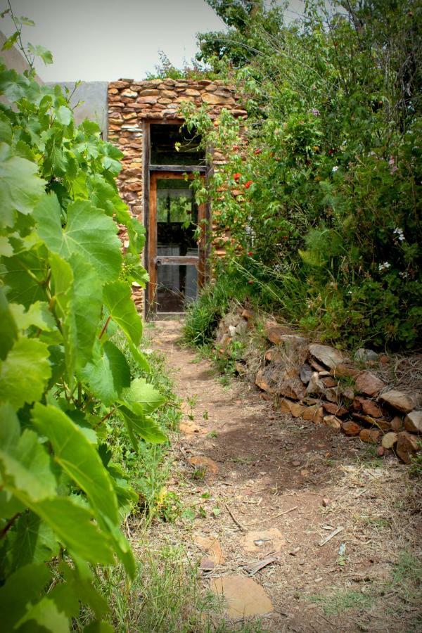 Bethany Farm Twee Riviere Exterior photo
